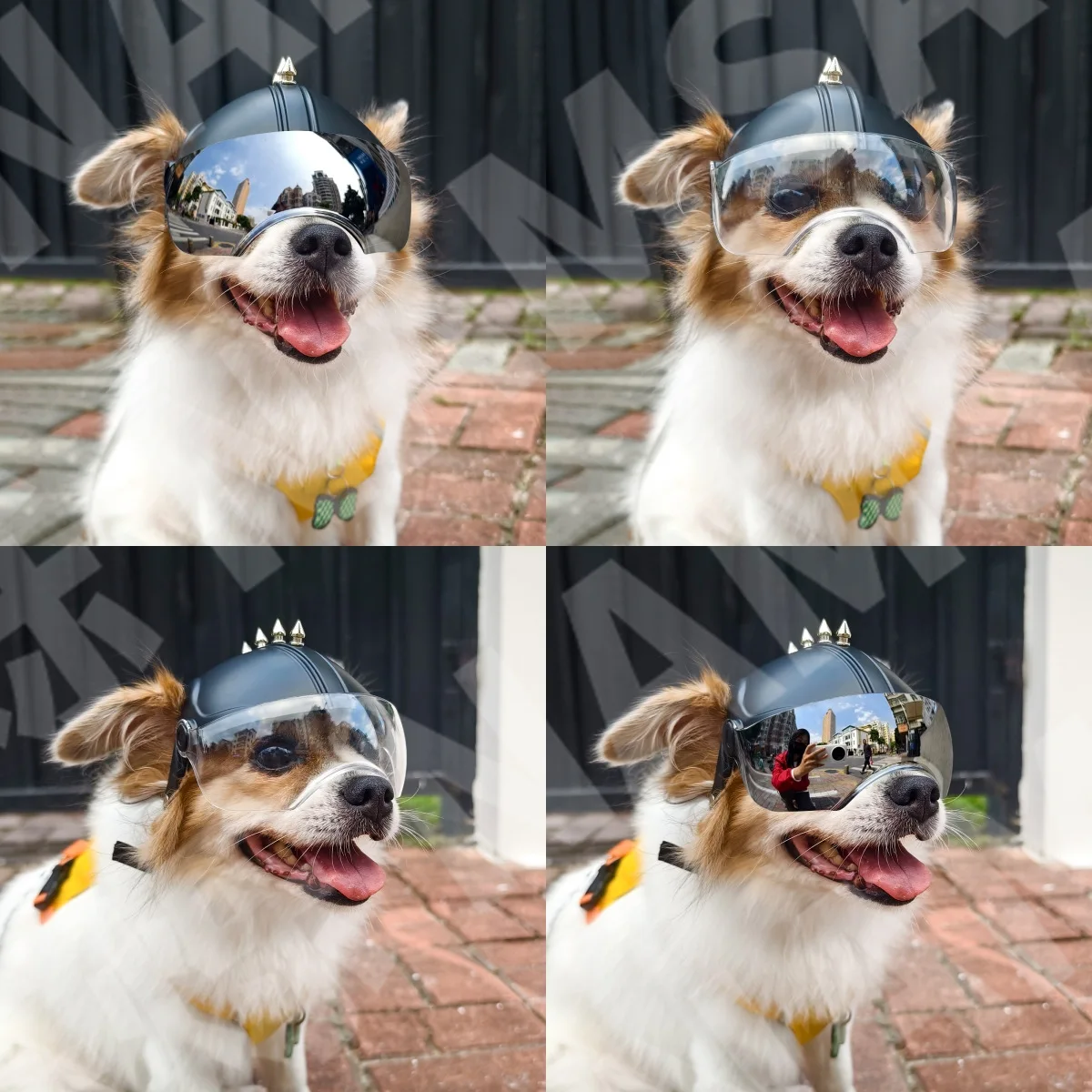 خوذة ونظارات واقية للكلاب 2 في - مراجعة Motorcycle Gear For Dogs وسعره
