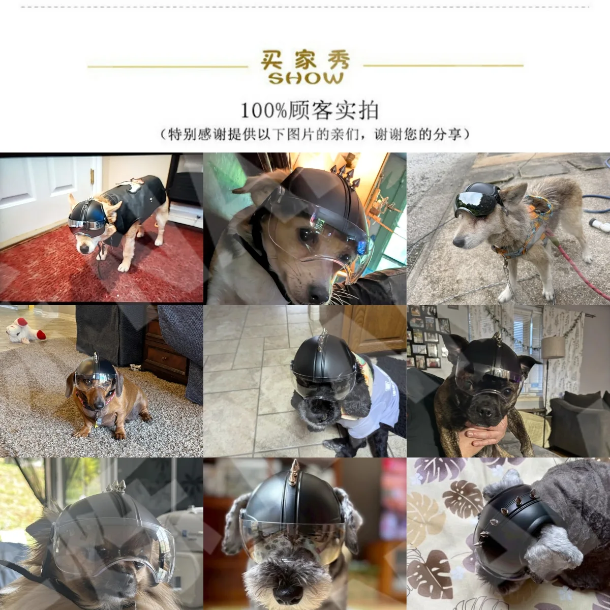 خوذة ونظارات واقية للكلاب 2 في - مراجعة Motorcycle Gear For Dogs وسعره