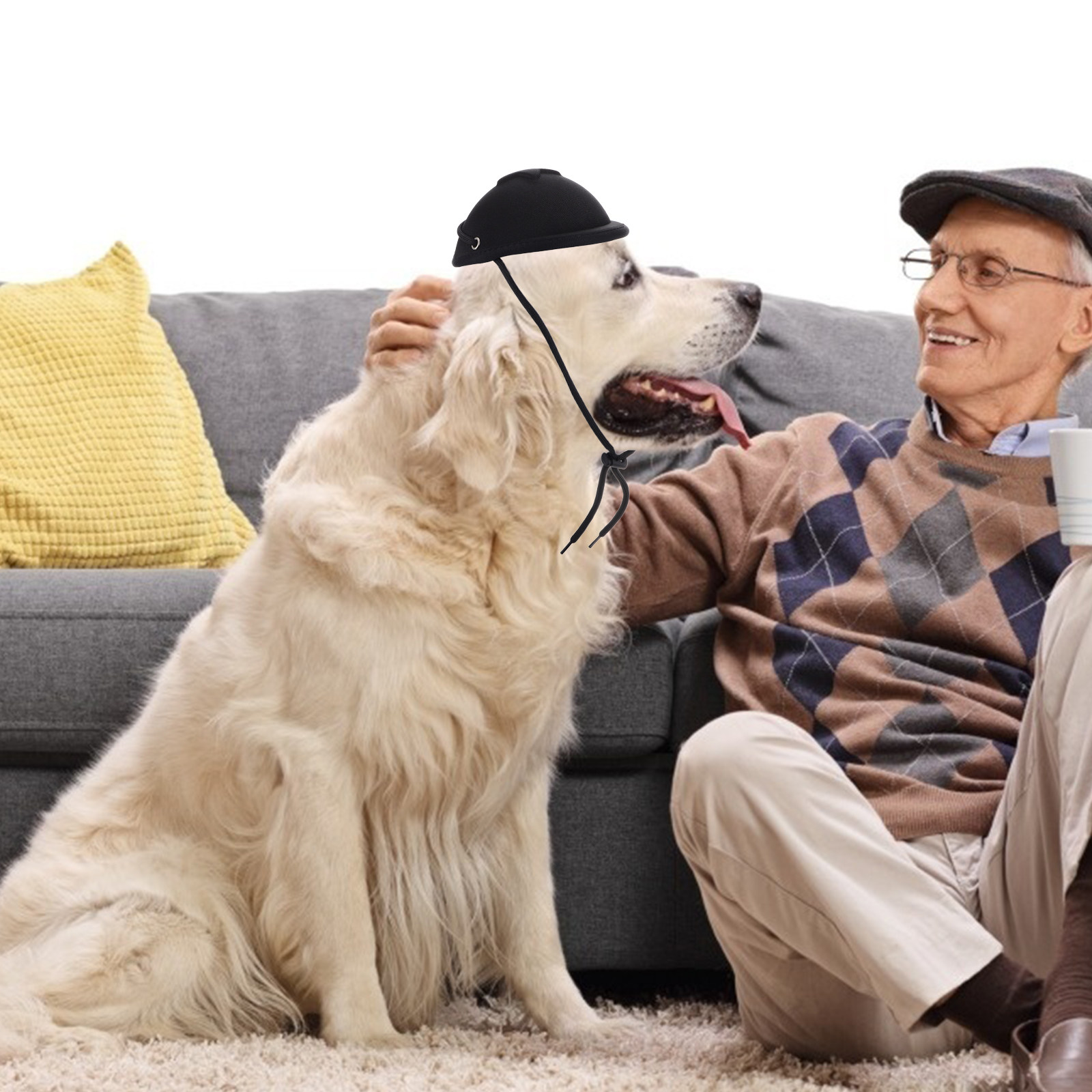 قبعة أمان قابلة للتعديل للحيوا - مراجعة Motorcycle Gear For Dogs وسعره