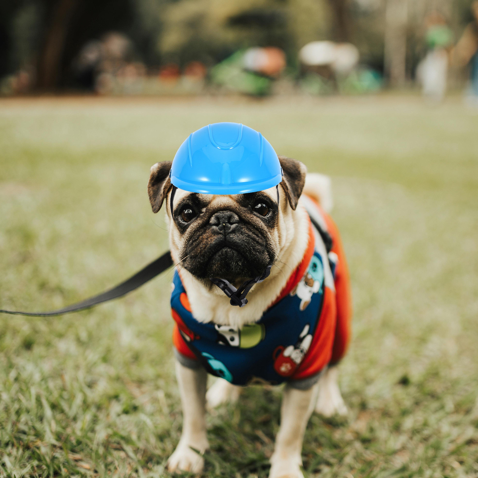خوذة حماية قابلة للتعديل للكلا - مراجعة Motorcycle Gear For Dogs وسعره